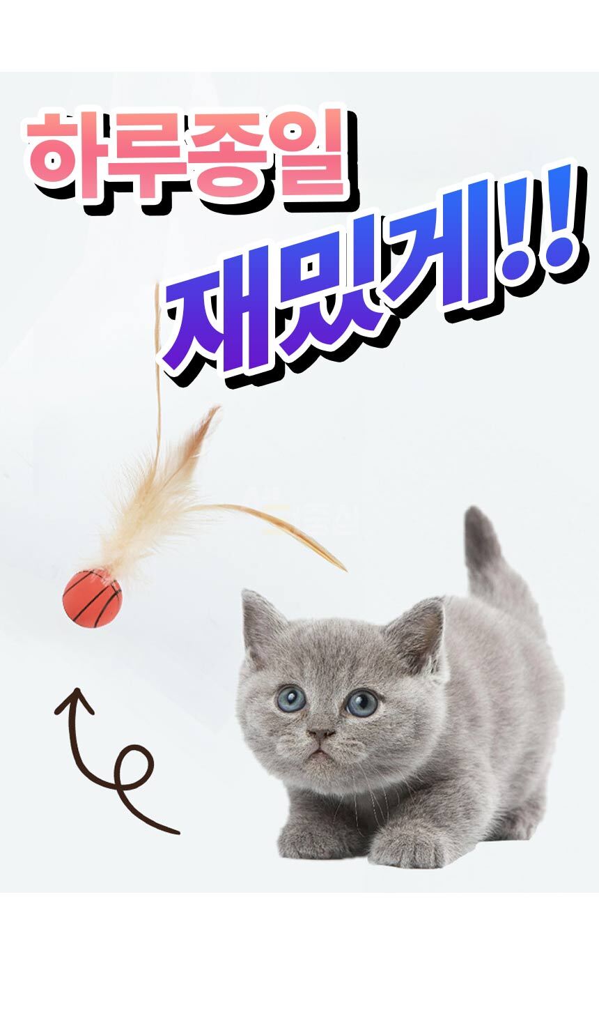1_03.jpg