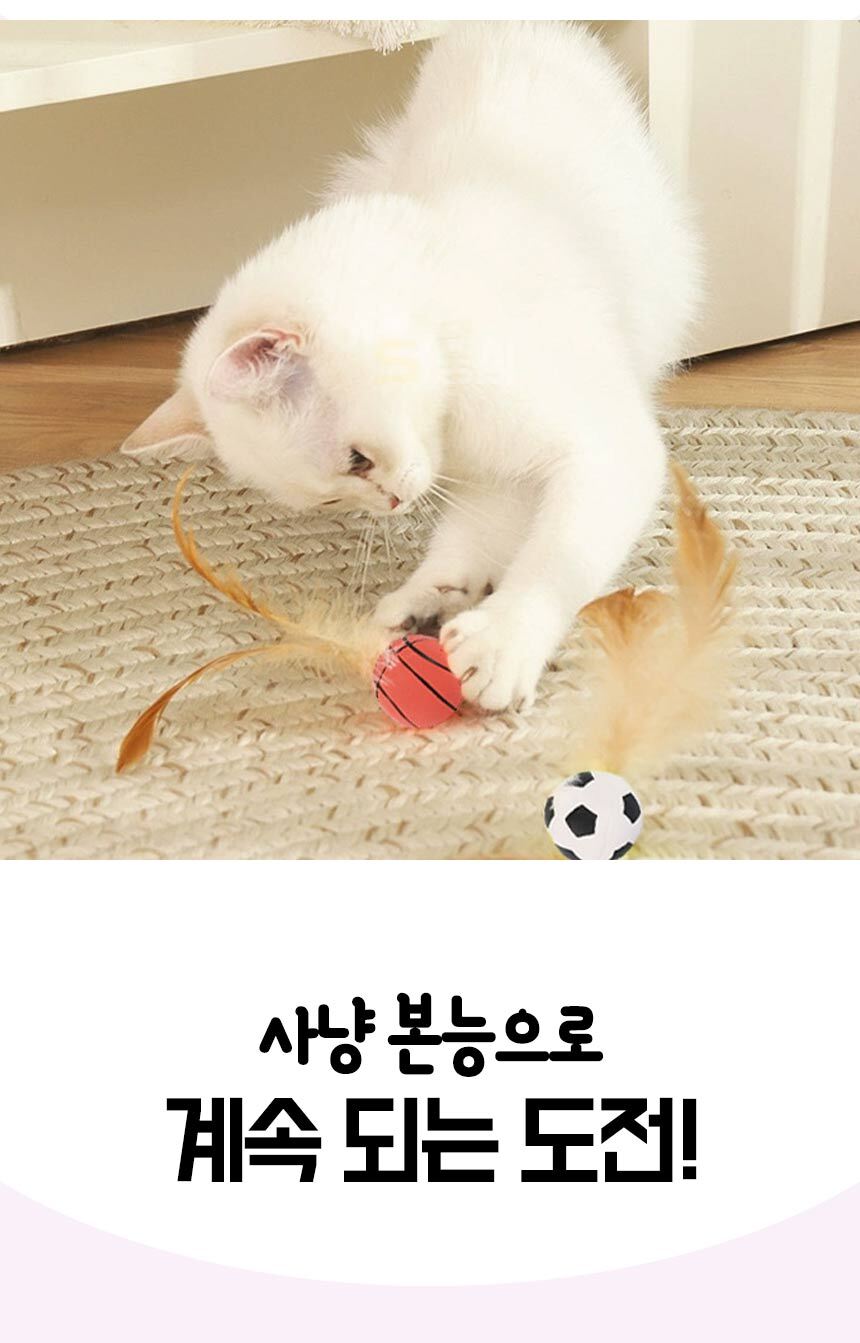1_06.jpg