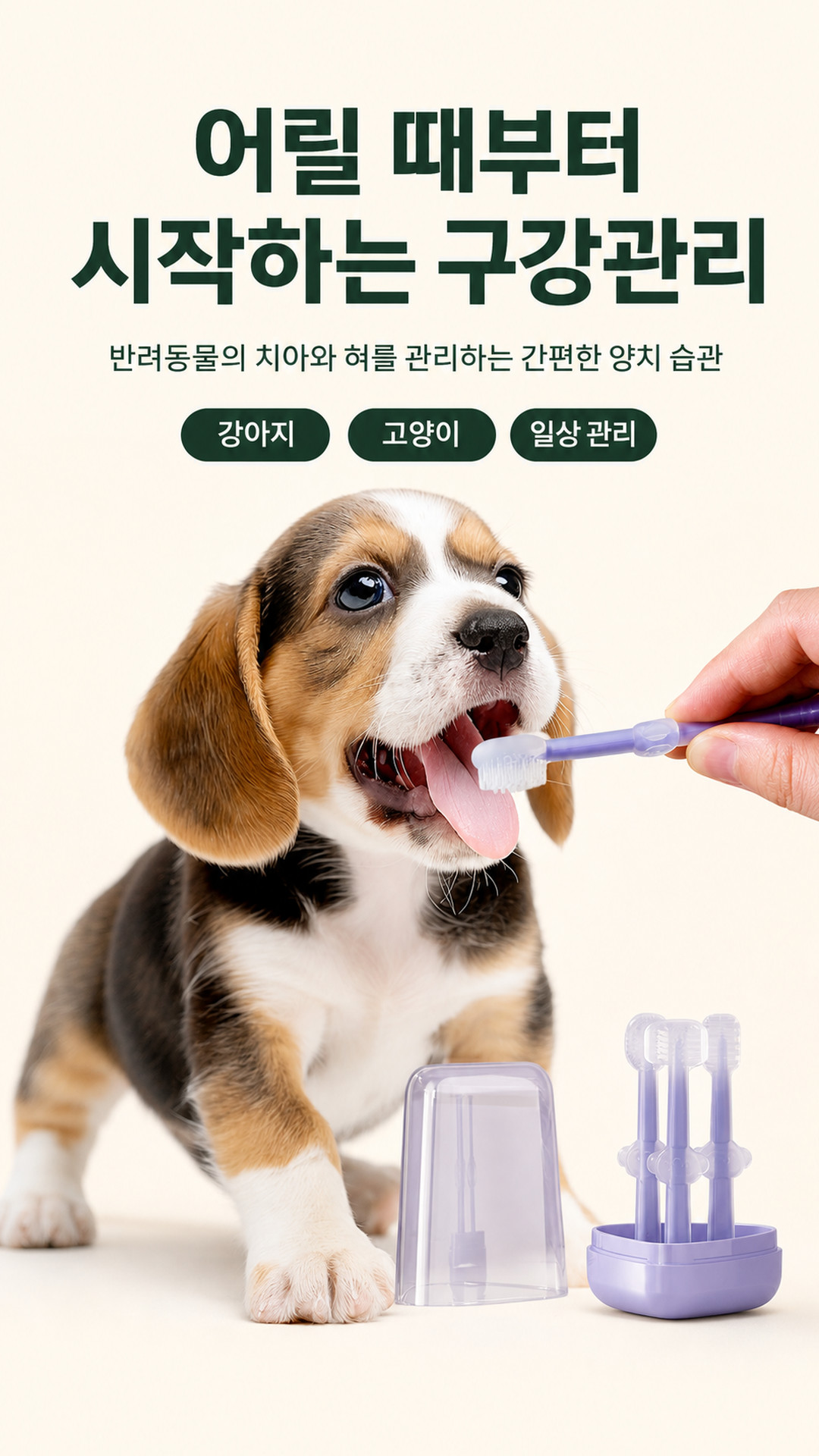 강아지 3종 세트 어금니 양치 반려동물 고양이 소형견 칫솔 혀클리너 치석제거 PE 상세 이미지 2