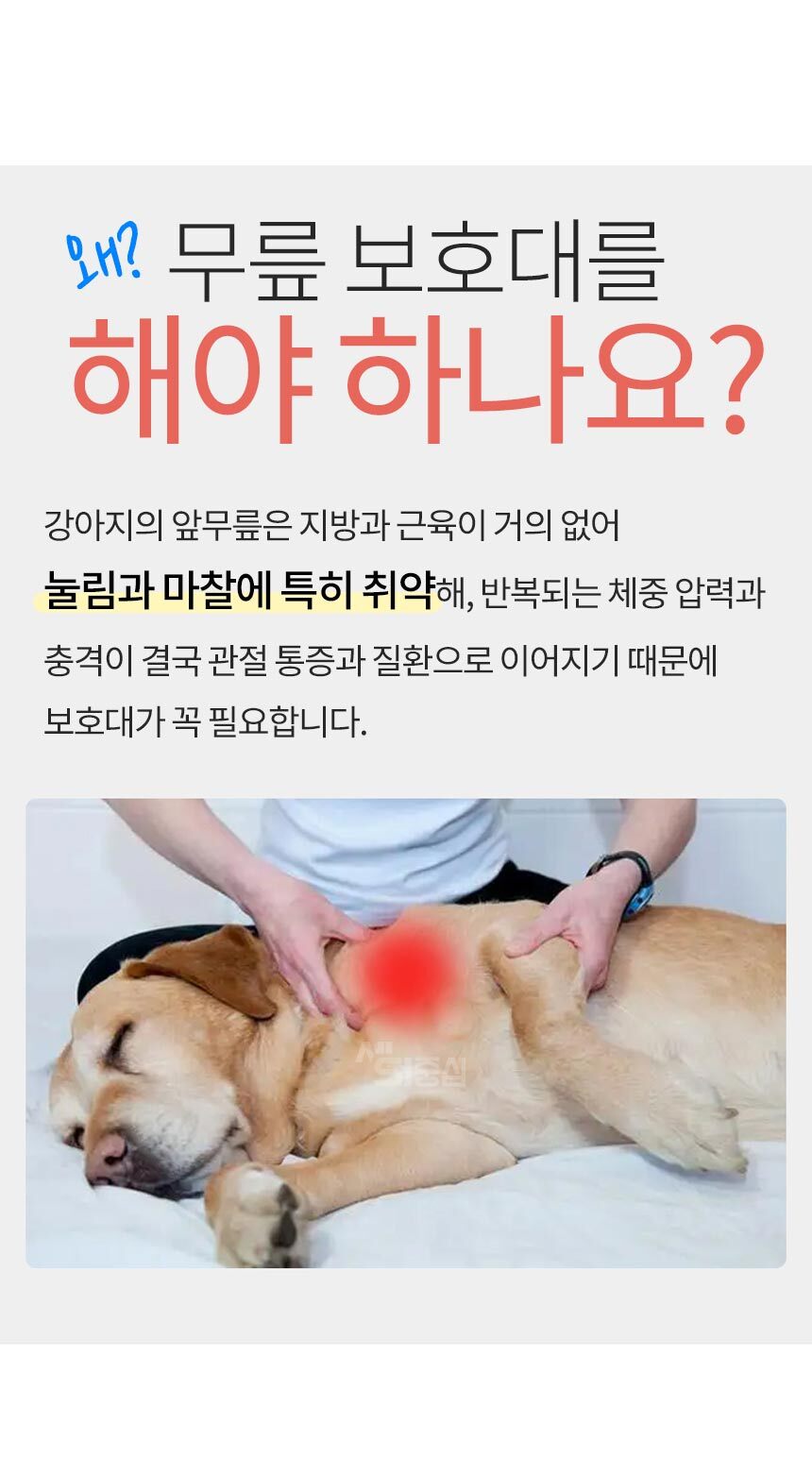 1_02.jpg