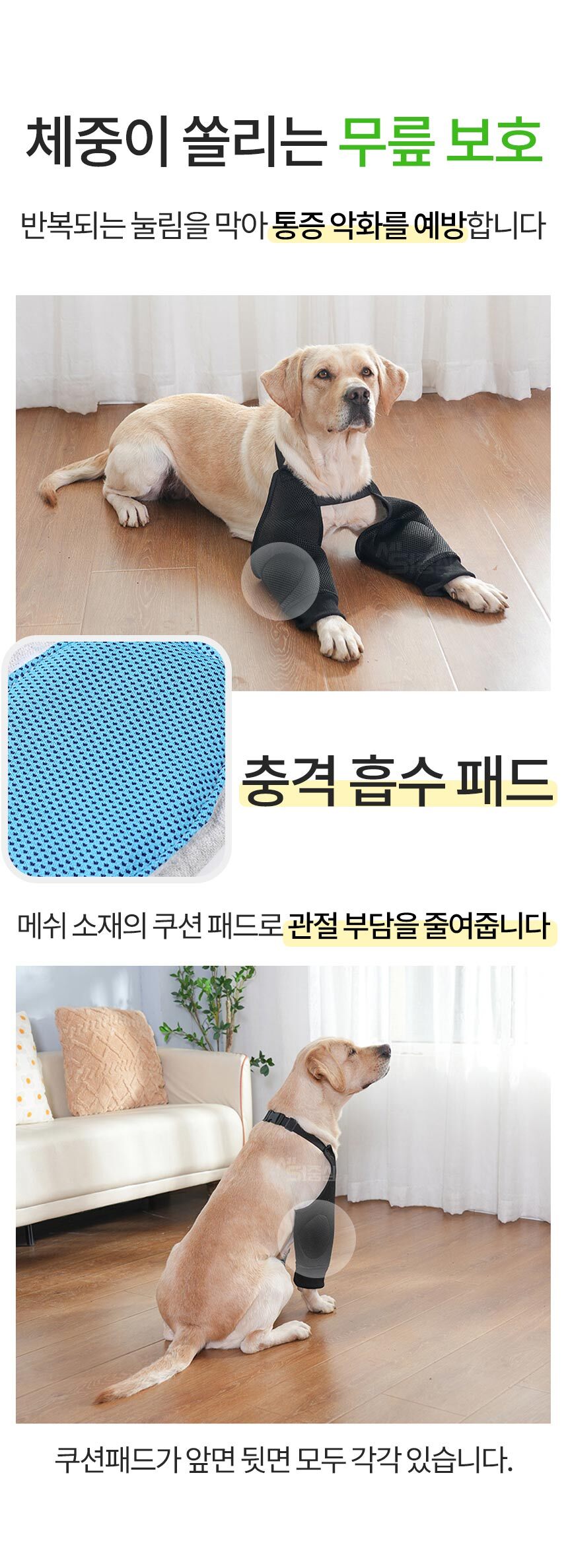 1_03.jpg