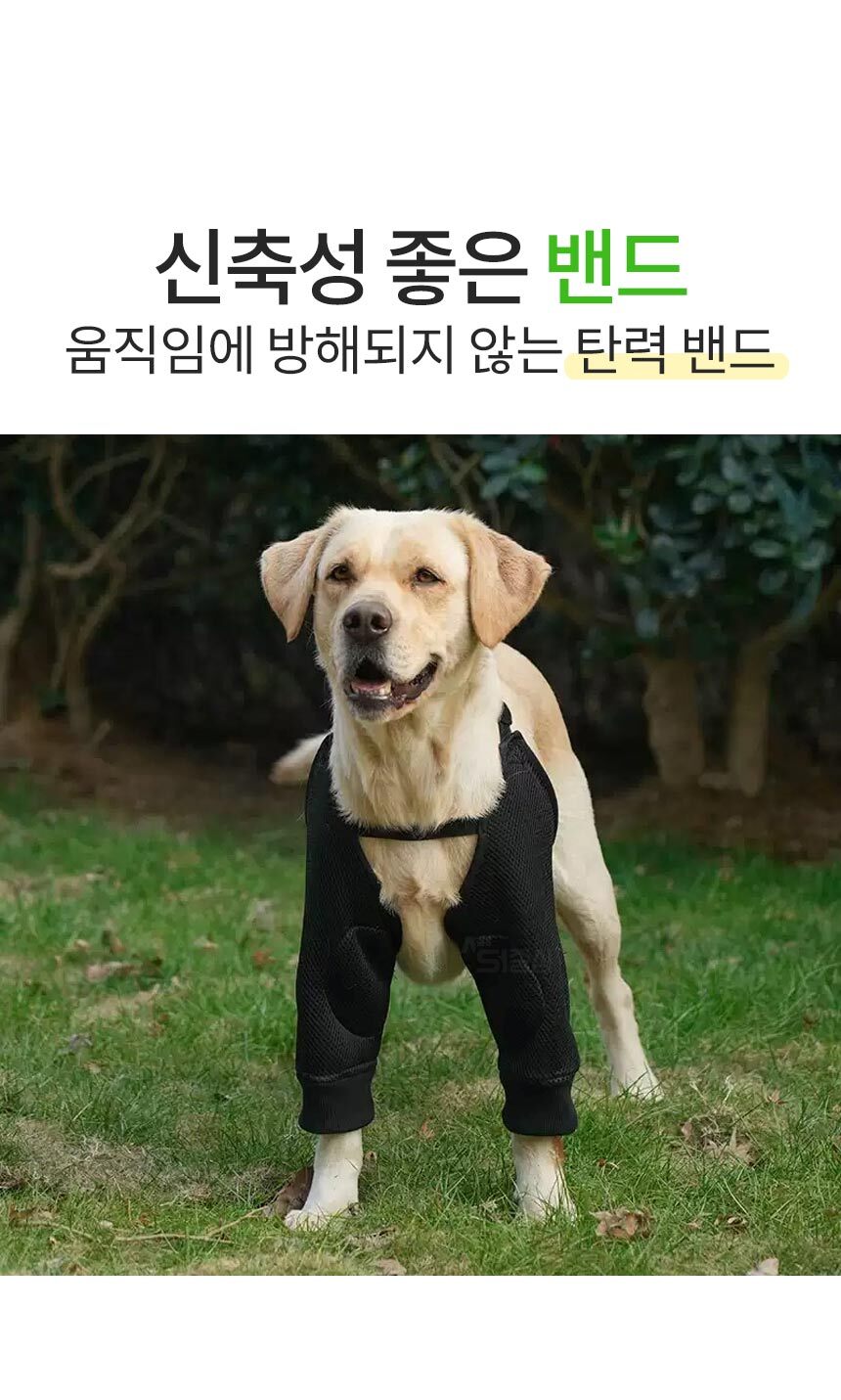 1_04.jpg
