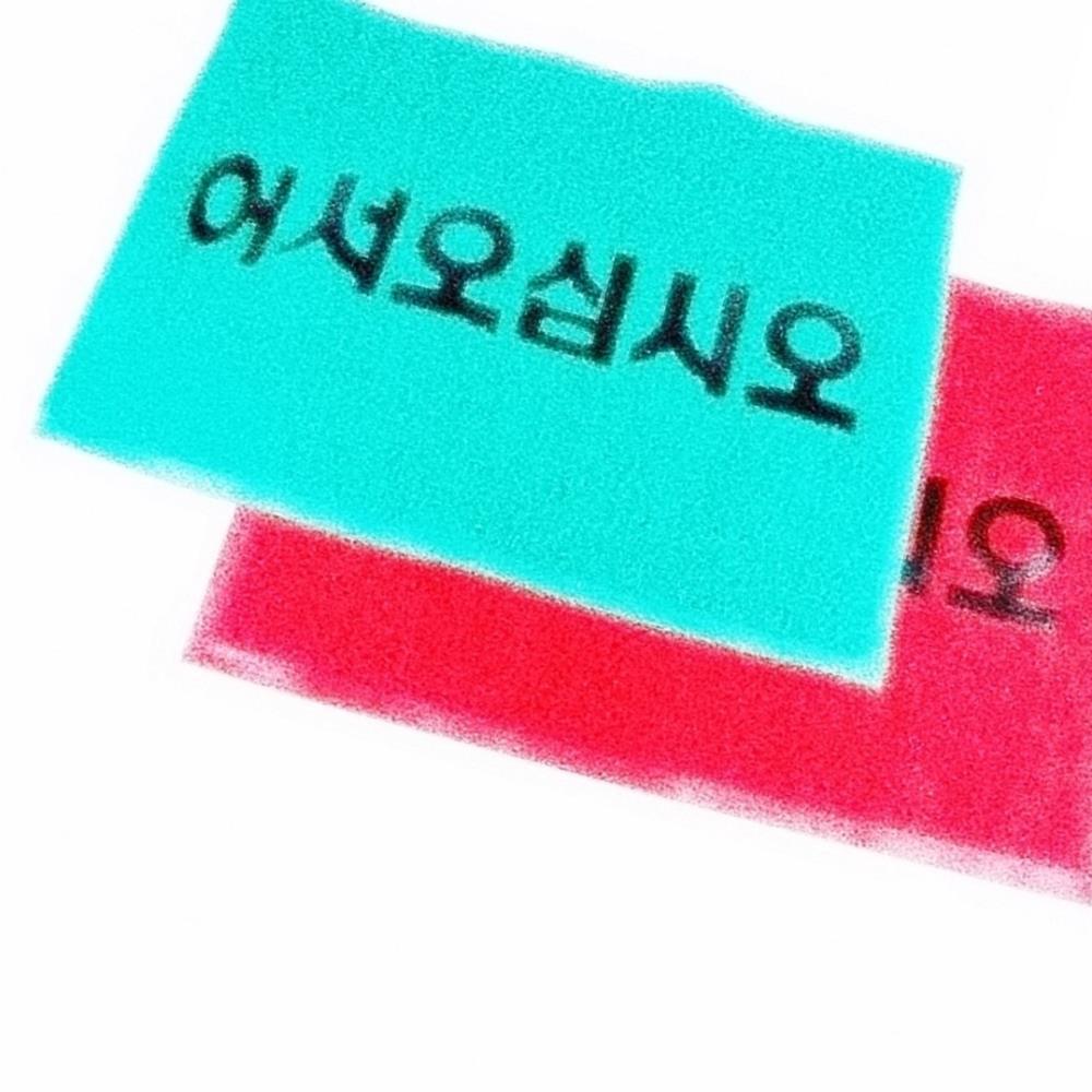 Oce 빗물 흡수 현관 패드 어서오세요 60x90cm 어서오십시오 야외 카펫트 발판 카페트