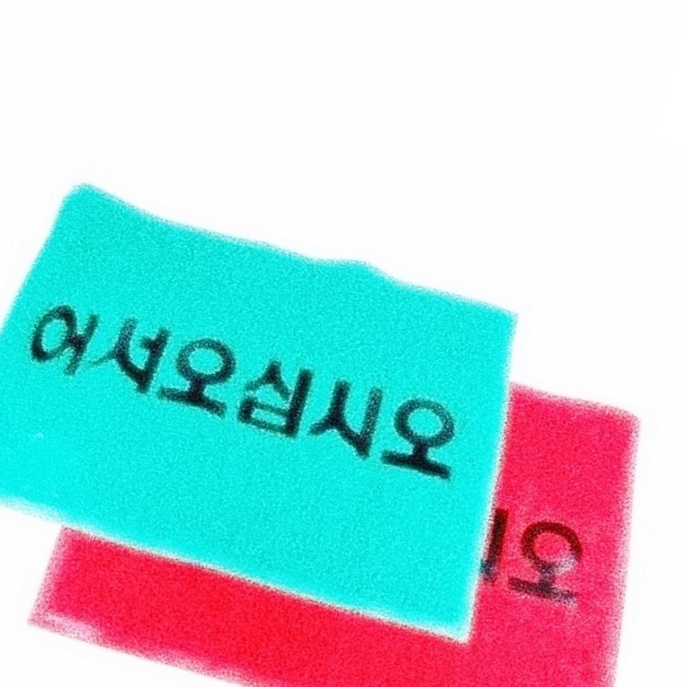 Oce 빗물 흡수 현관 패드 어서오세요 90x120cm 바닥 깔판 물기 제거 매트 발판 카페트