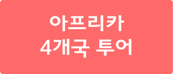 아프리카 4개국 투어