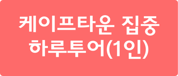 케이프타운 집중 하루투어(1인)