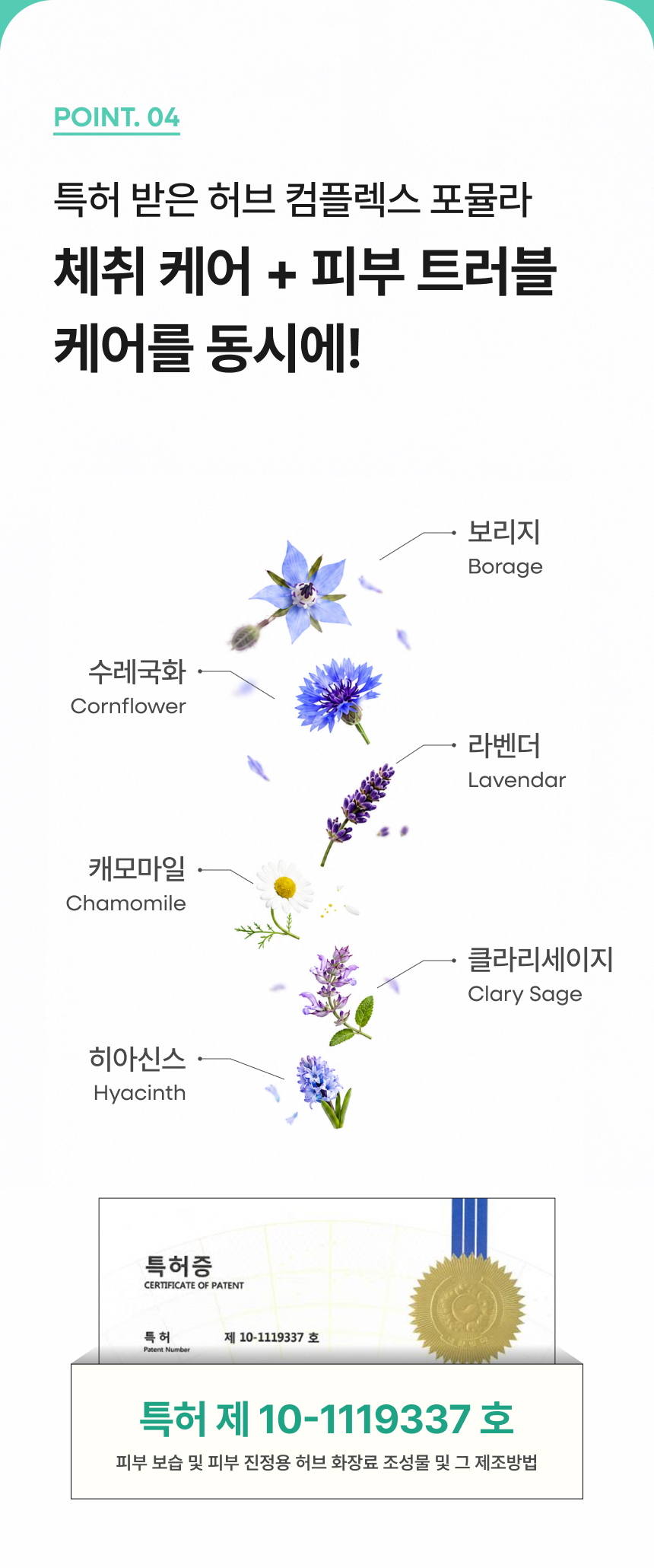 식물유래 핵심 성분 상세 소개