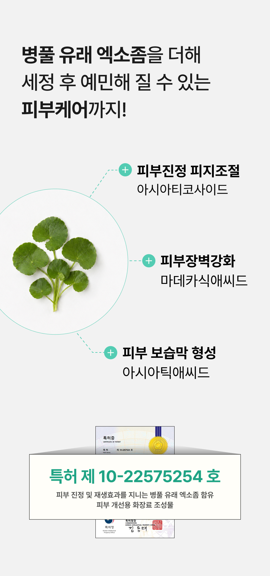 위프 클린 리추얼 워시 추천 대상
