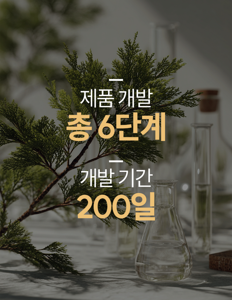 제품 개발 총 6단계 개발기간 200일