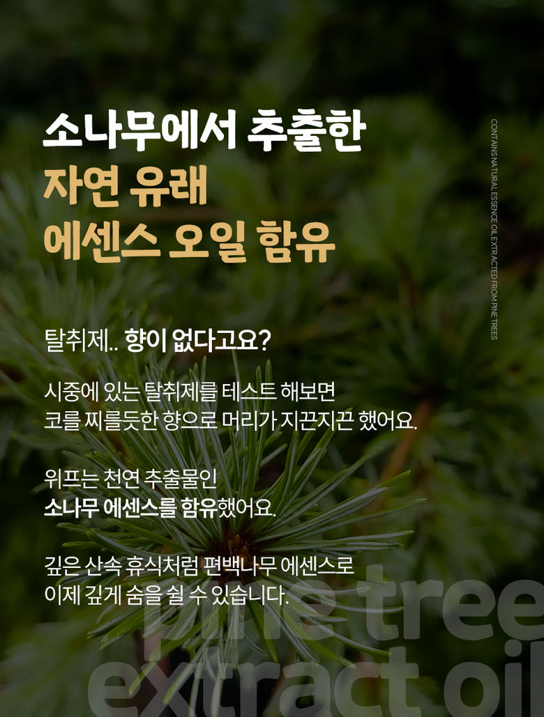 소나무 추출 자연 유래 에센스 오일 함유