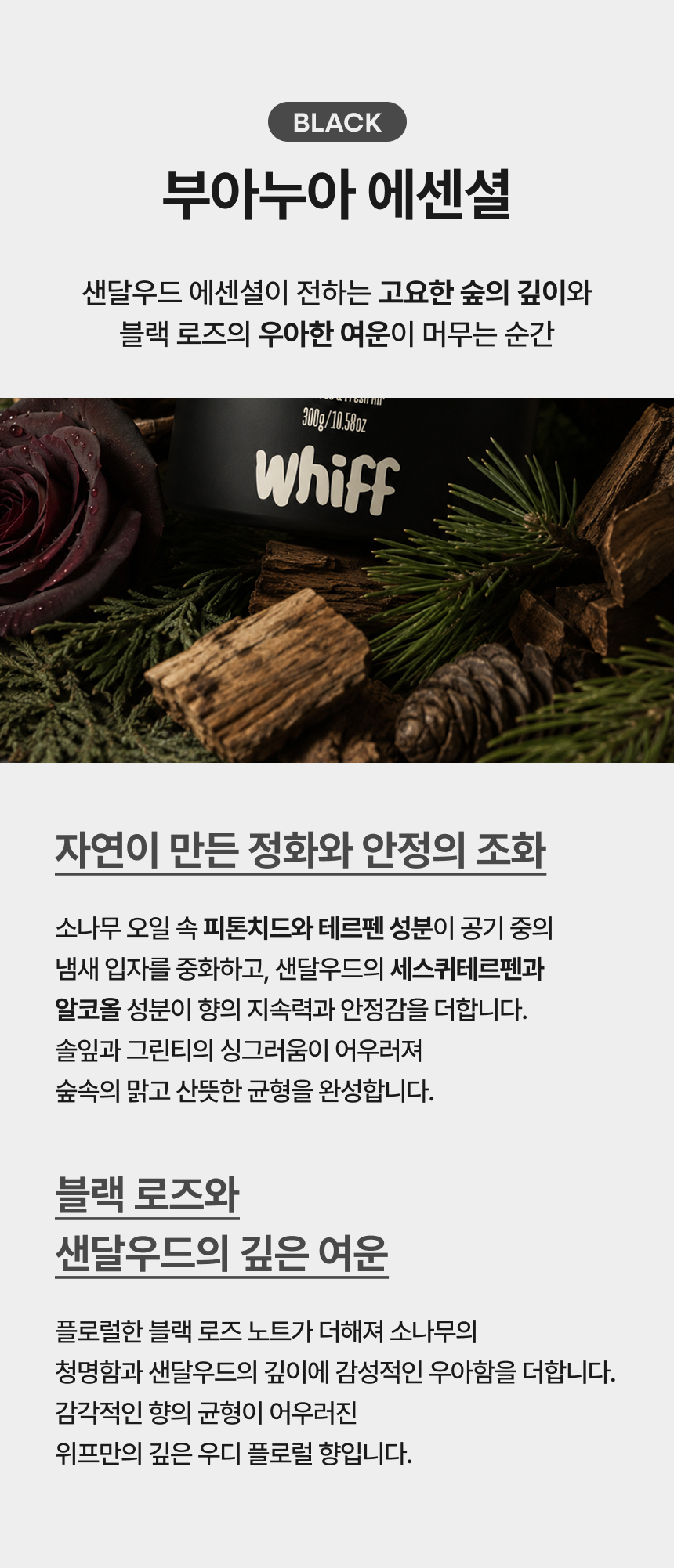 헤이즈 에센셜 베이지 우디향 소개
