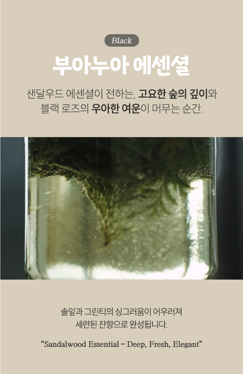 블랙 부아누아 에센셜 향 소개