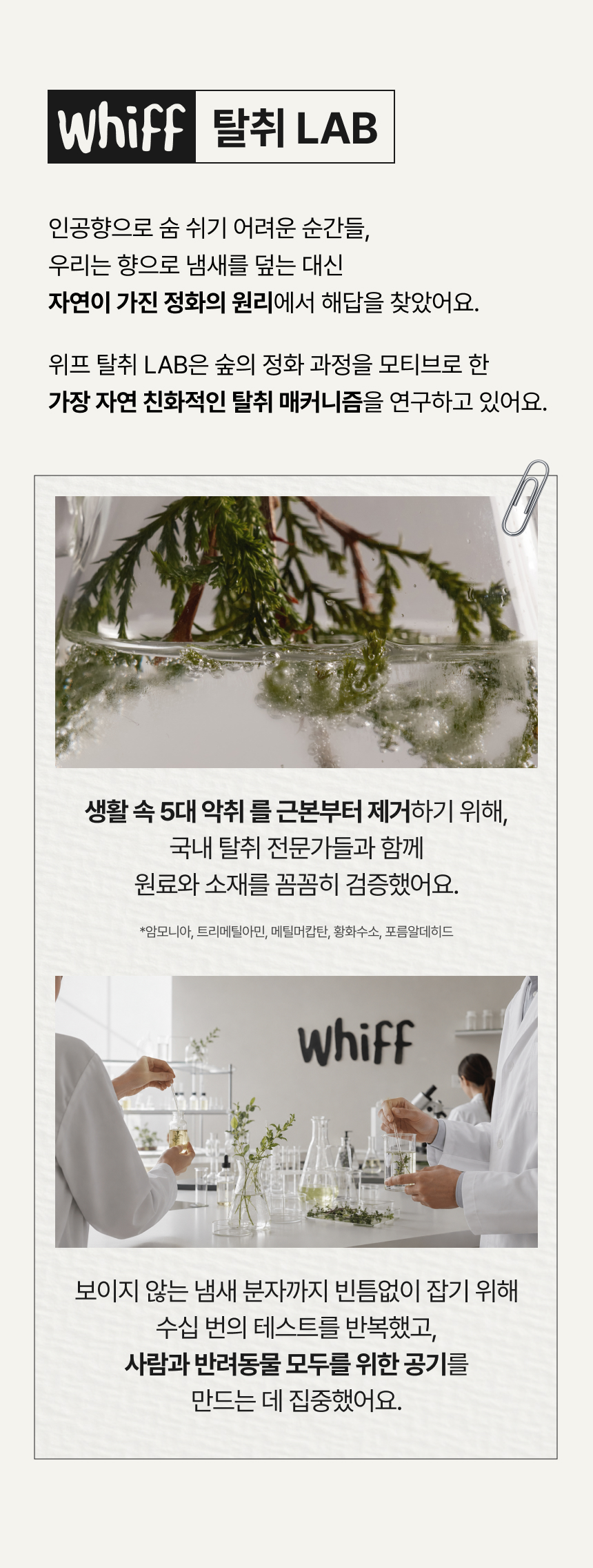 인공색소 없이 자연이 빚은 색감