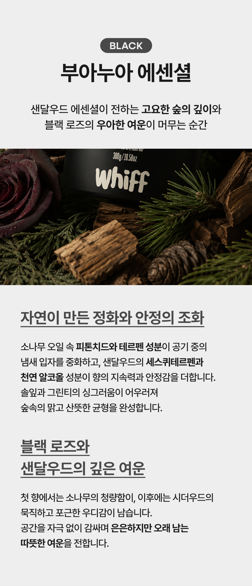 헤이즈 에센셜 베이지 우디향 소개