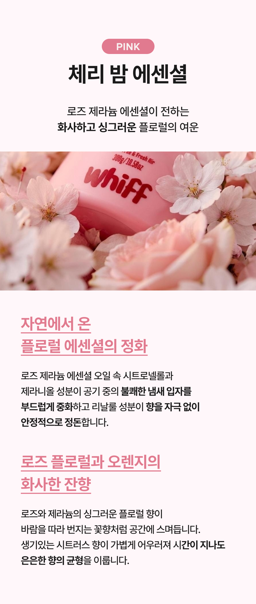 보아누아 에센셜 블랙 향 소개