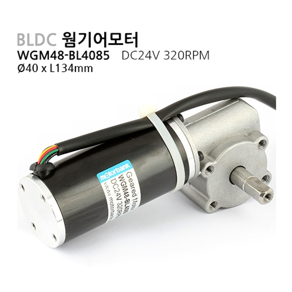 BLDC모터 WGM48-BL4085 DC24V 320rpm 감속비 1/10 (M1000007583)