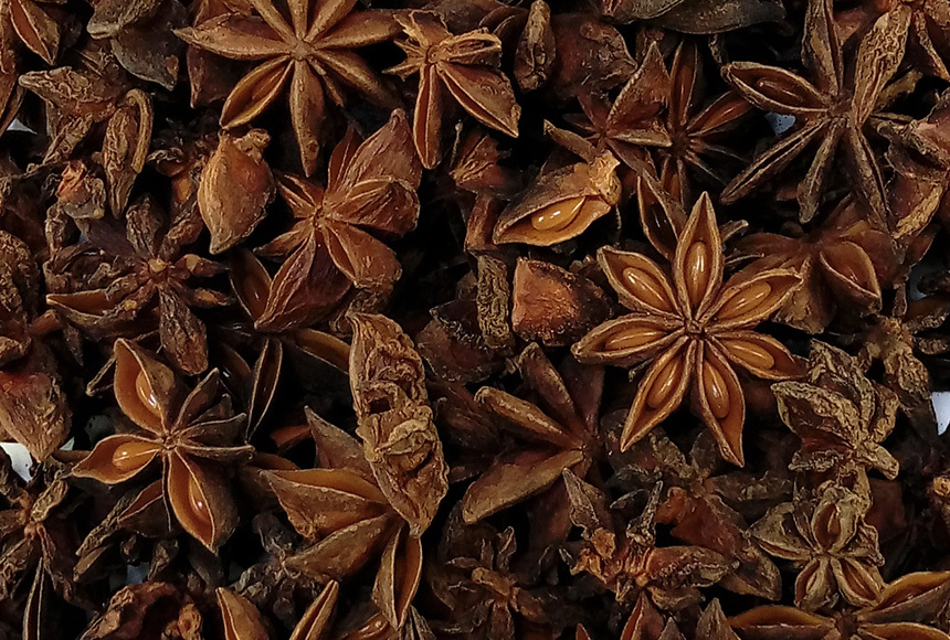 oherb 팔각 회향 팔각향 스타아니스 20g 오향 향신료 - 핫트랙스